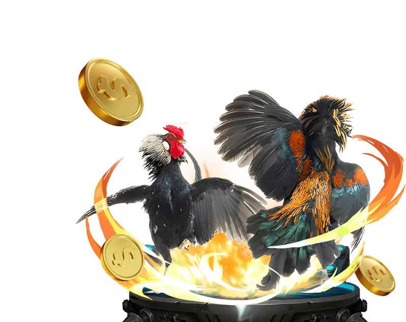 Chương Trình VIP 77 Ball